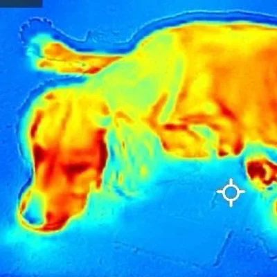 Natz 🏴‍☠️ ☮️ 🌱